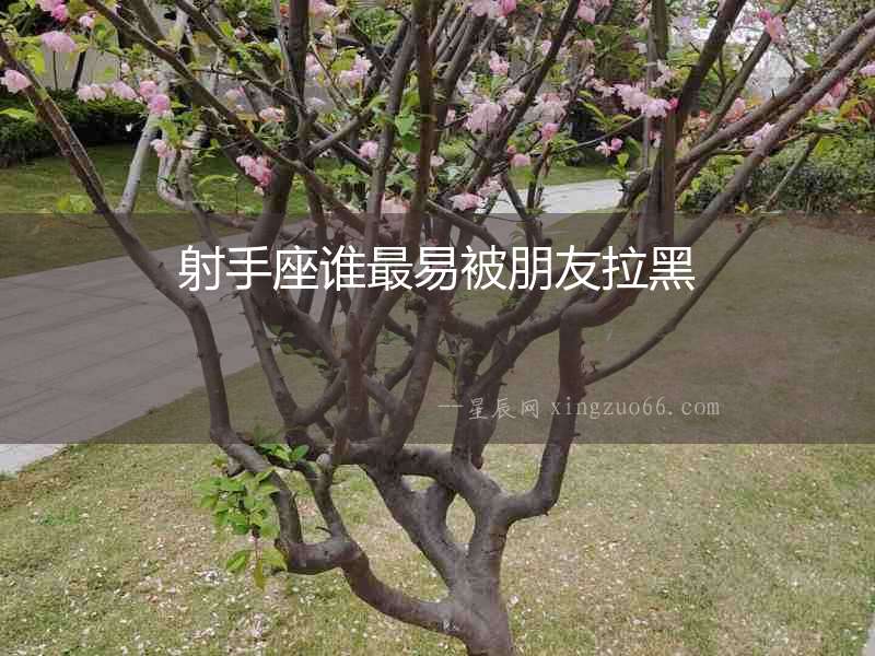 射手座誰(shuí)最易被朋友拉黑