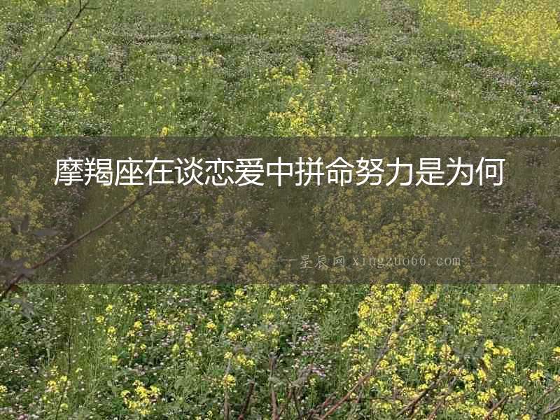 摩羯座在談戀愛中拼命努力是為何