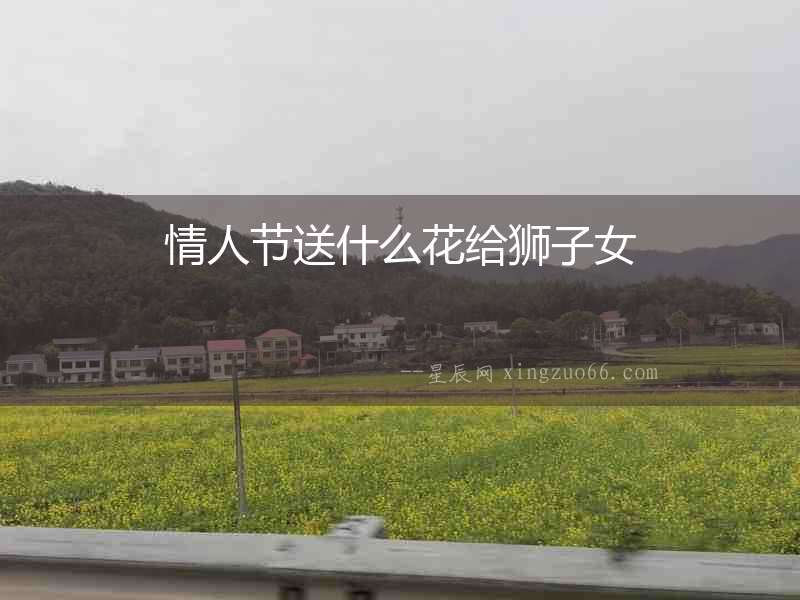 情人節送什么花給獅子女