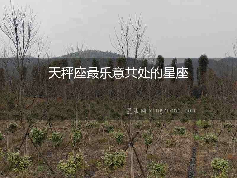 天秤座最樂意共處的星座