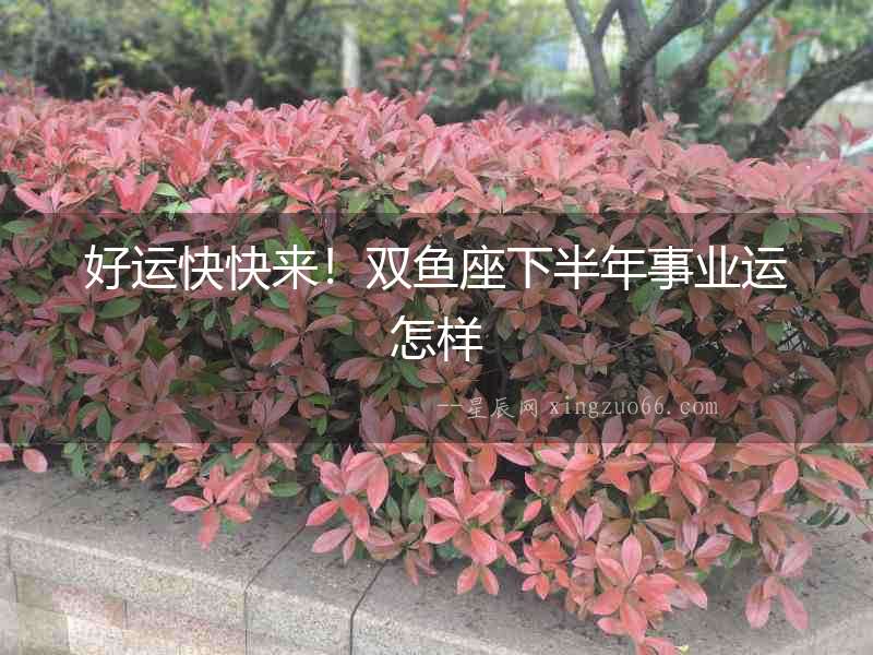 好運快快來！雙魚座下半年事業運怎樣