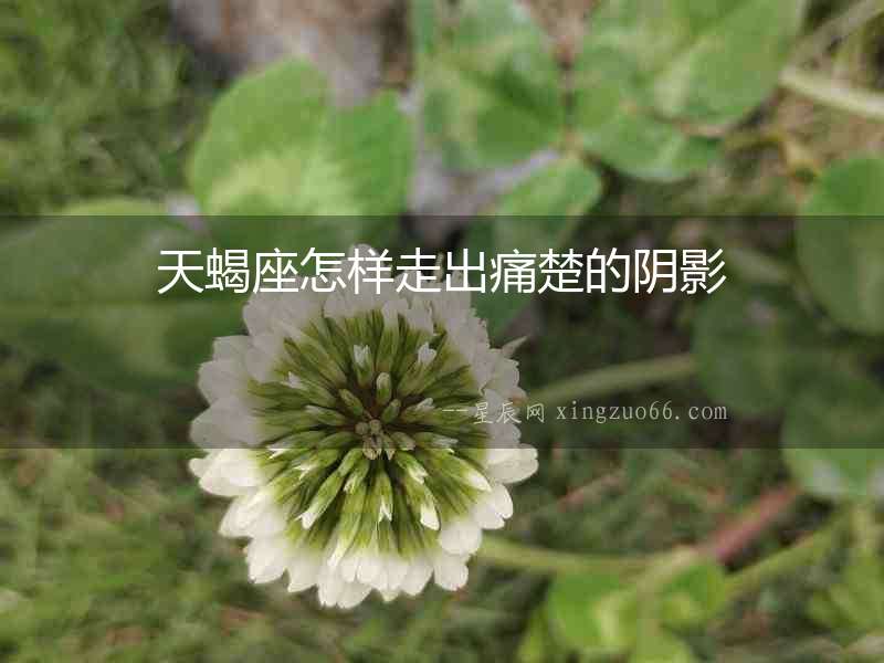 天蝎座怎樣走出痛楚的陰影