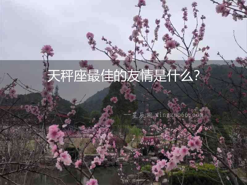 天秤座最佳的友情是什么？
