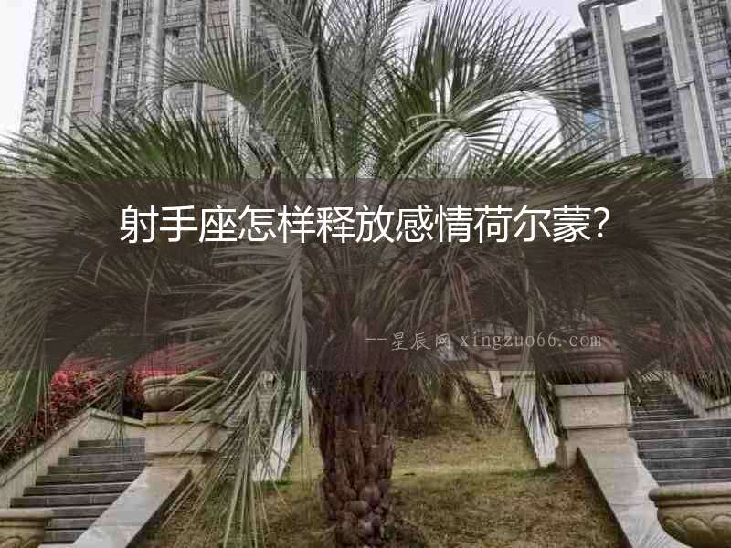 射手座怎樣釋放感情荷爾蒙？