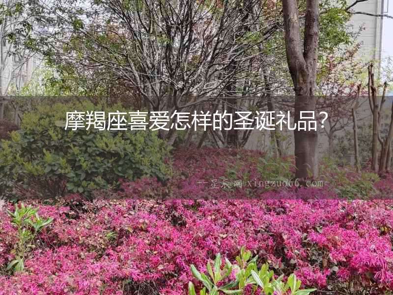 摩羯座喜愛怎樣的圣誕禮品？