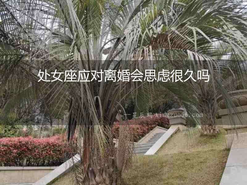 處女座應對離婚會思慮很久嗎