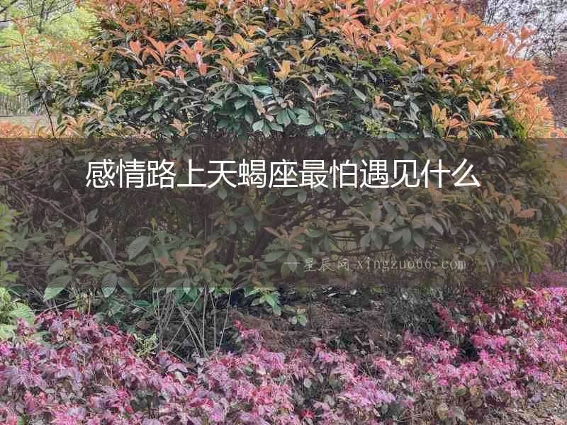 感情路上天蝎座最怕遇見什么