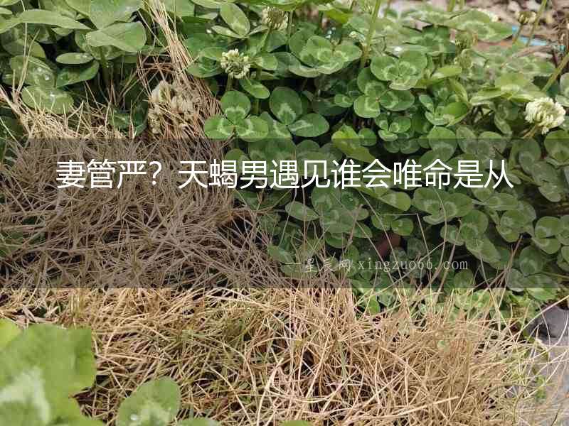 妻管嚴？天蝎男遇見誰會唯命是從