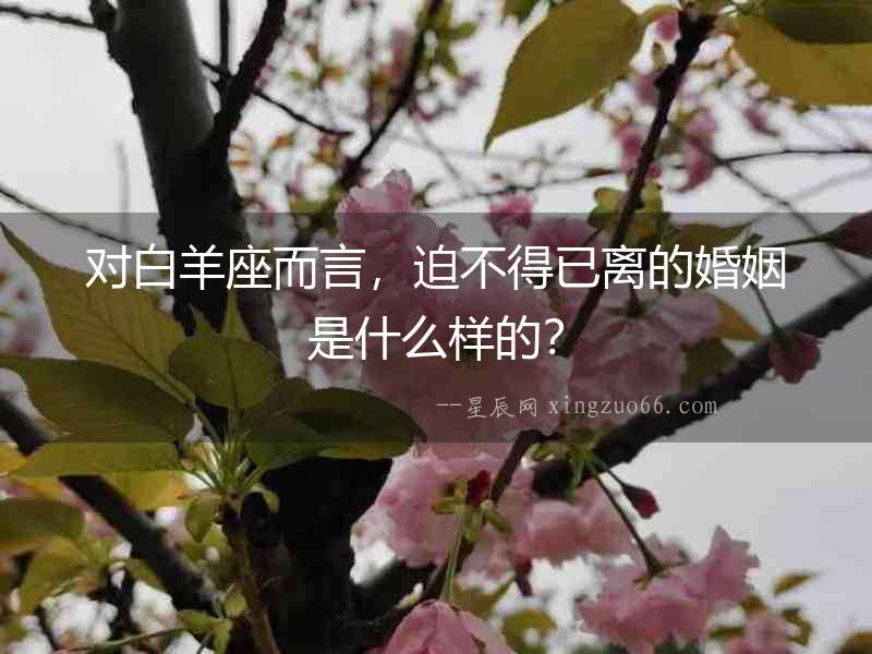 對(duì)白羊座而言，迫不得已離的婚姻是什么樣的？