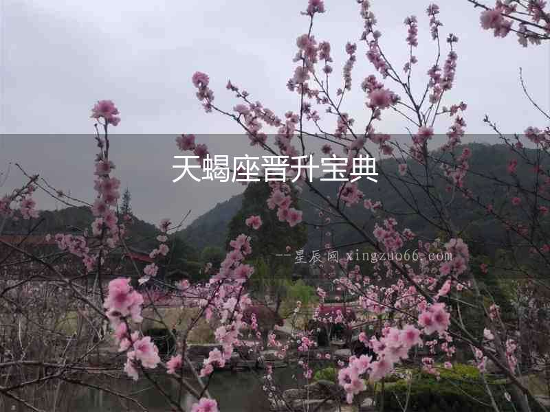天蝎座晉升寶典