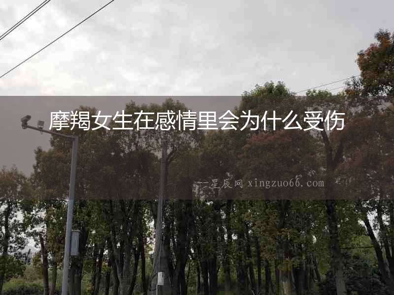 摩羯女生在感情里會為什么受傷