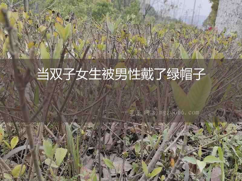 當(dāng)雙子女生被男性戴了綠帽子