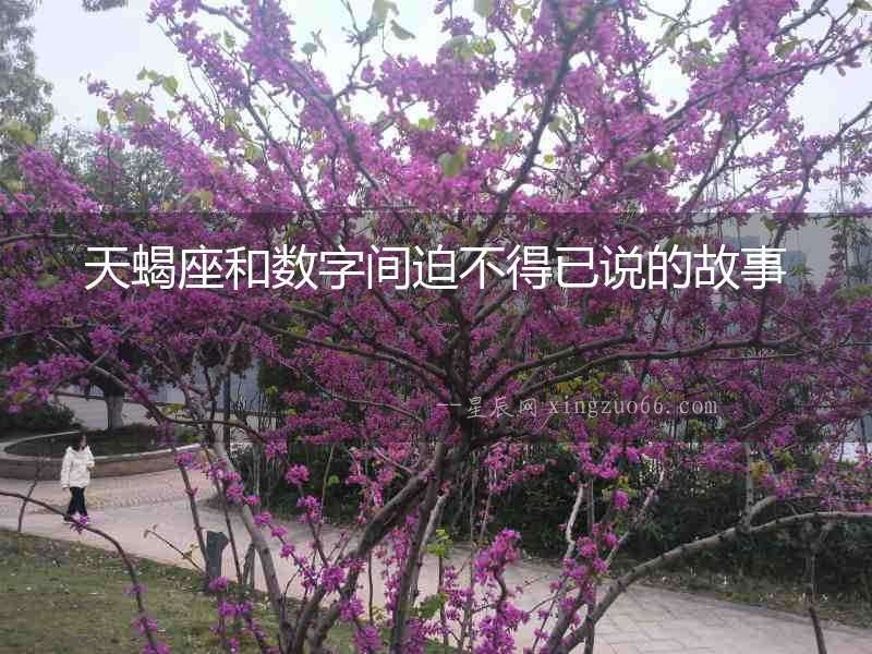 天蝎座和數字間迫不得已說的故事