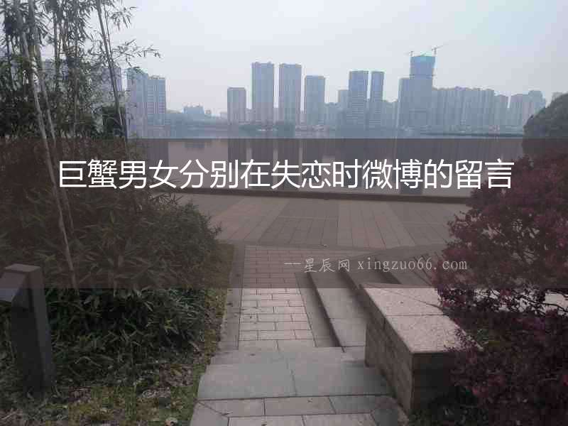 巨蟹男女分別在失戀時(shí)微博的留言