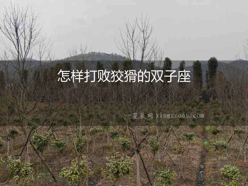 怎樣打敗狡猾的雙子座
