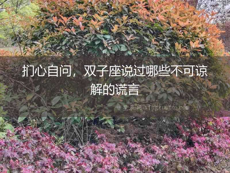 捫心自問，雙子座說過哪些不可諒解的謊言