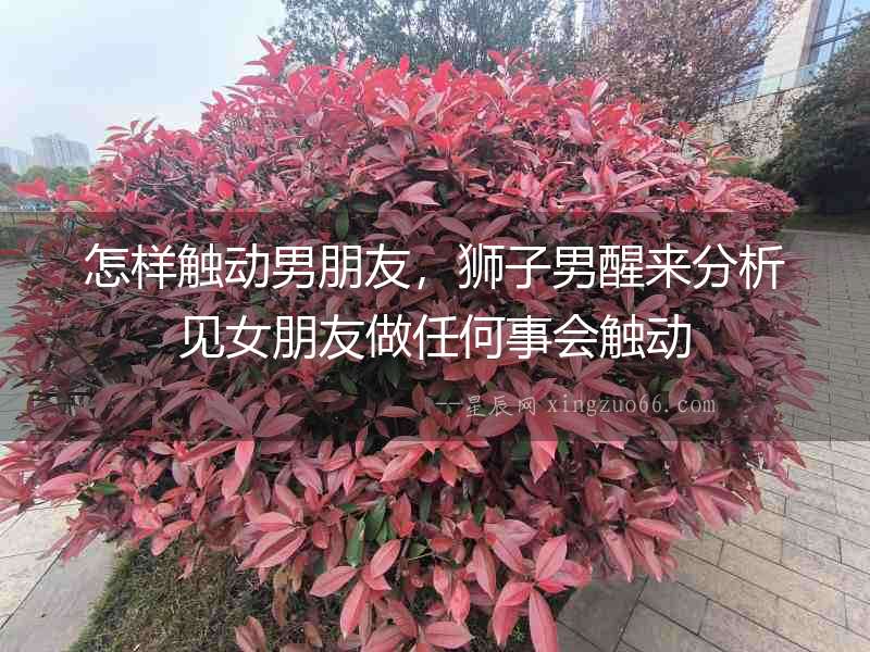 怎樣觸動(dòng)男朋友，獅子男醒來(lái)分析見(jiàn)女朋友做任何事會(huì)觸動(dòng)