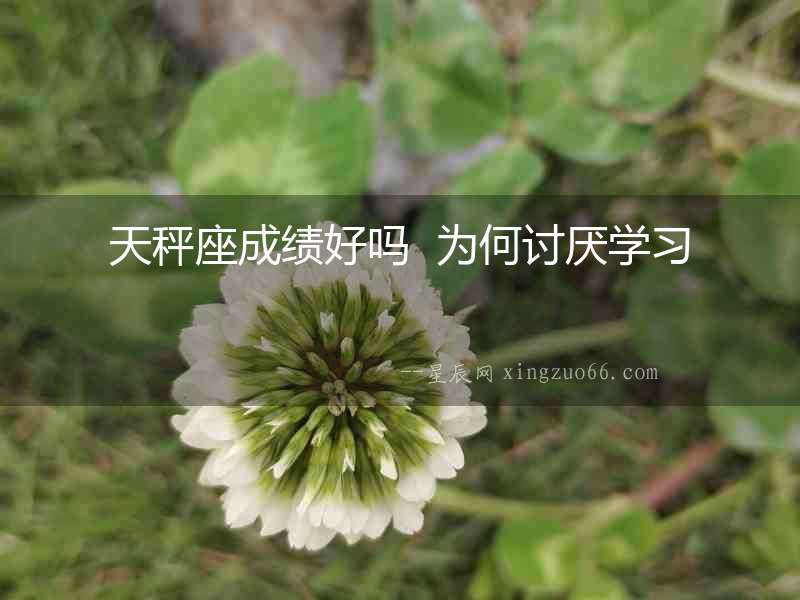 天秤座成績好嗎  為何討厭學習