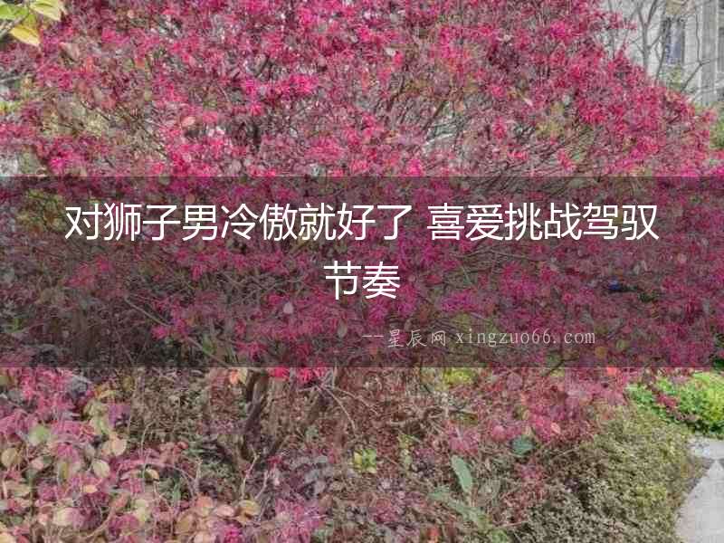 對(duì)獅子男冷傲就好了 喜愛挑戰(zhàn)駕馭節(jié)奏