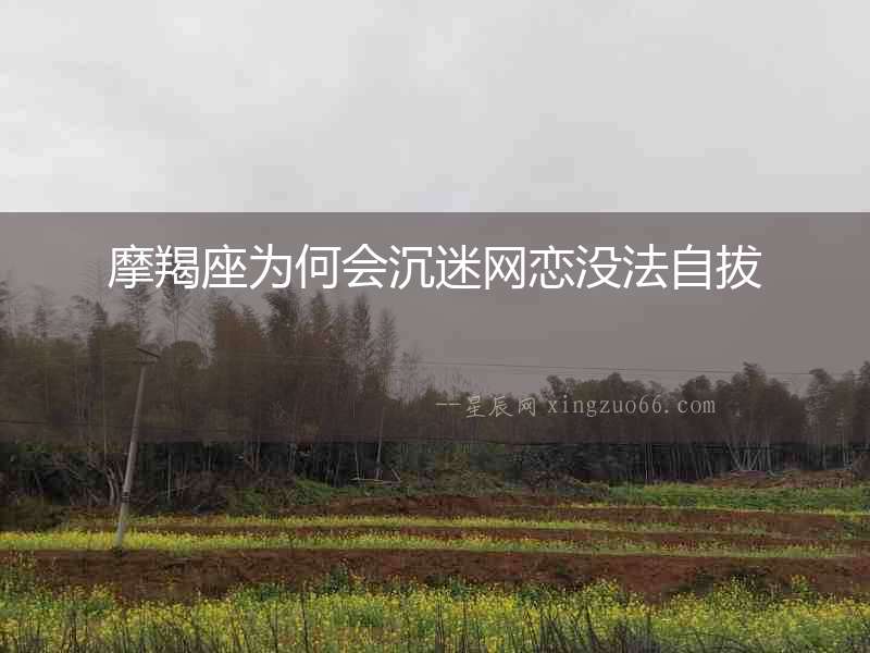 摩羯座為何會沉迷網戀沒法自拔