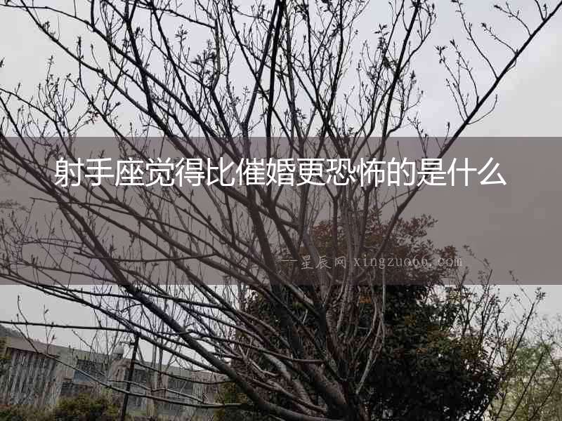 射手座覺得比催婚更恐怖的是什么