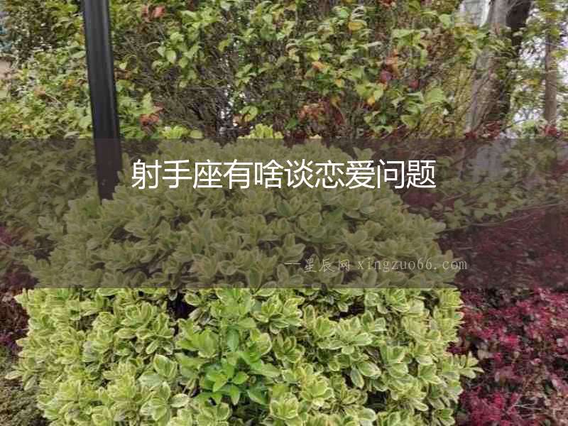 射手座有啥談戀愛問題