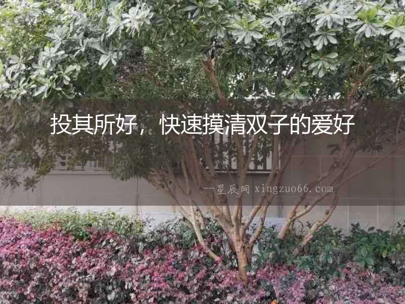 投其所好，快速摸清雙子的愛好