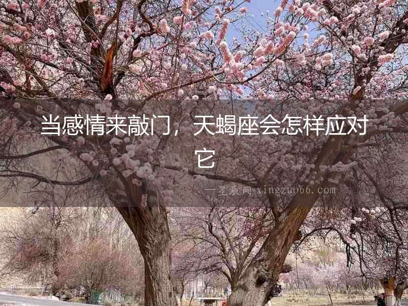當(dāng)感情來(lái)敲門，天蝎座會(huì)怎樣應(yīng)對(duì)它