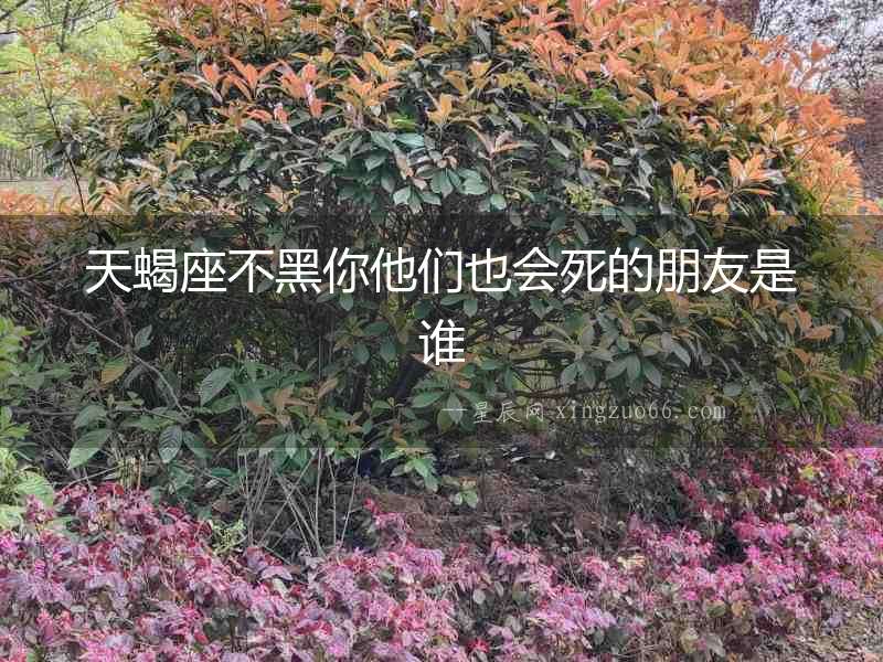 天蝎座不黑你他們也會(huì)死的朋友是誰(shuí)
