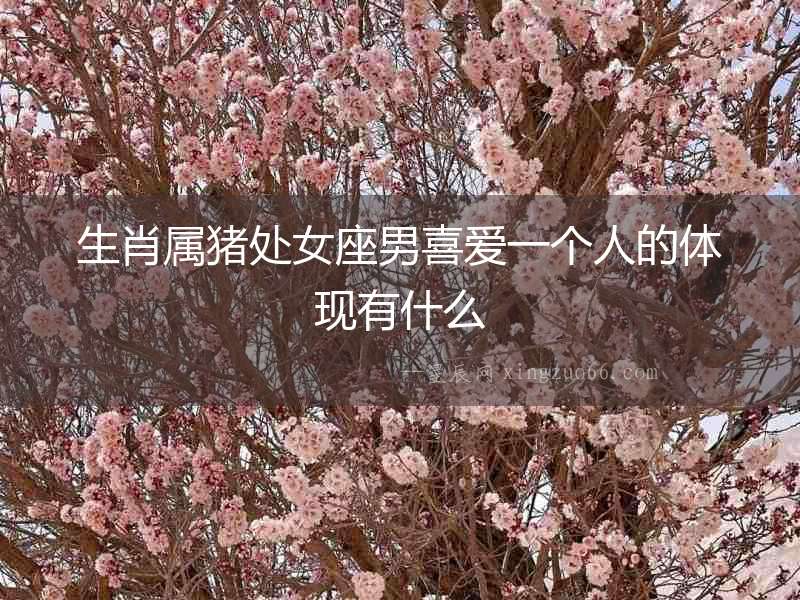 生肖屬豬處女座男喜愛一個人的體現有什么