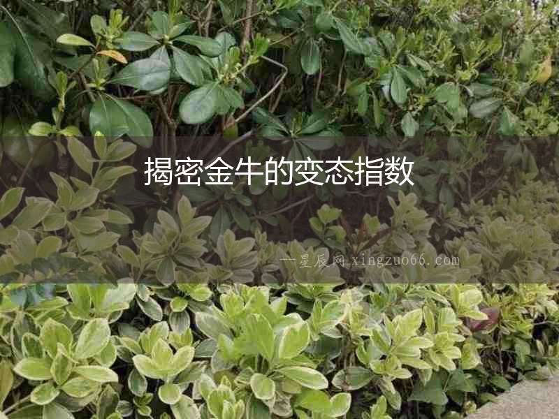 揭密金牛的變態指數