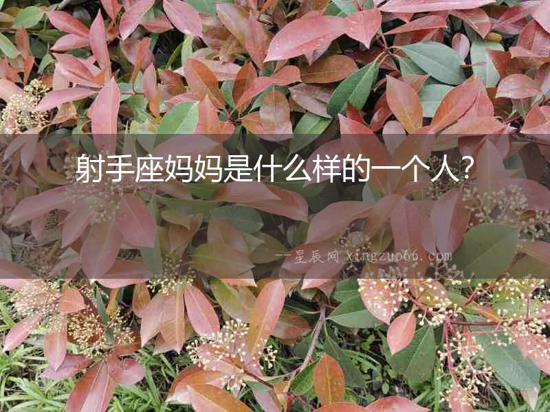 射手座媽媽是什么樣的一個人？