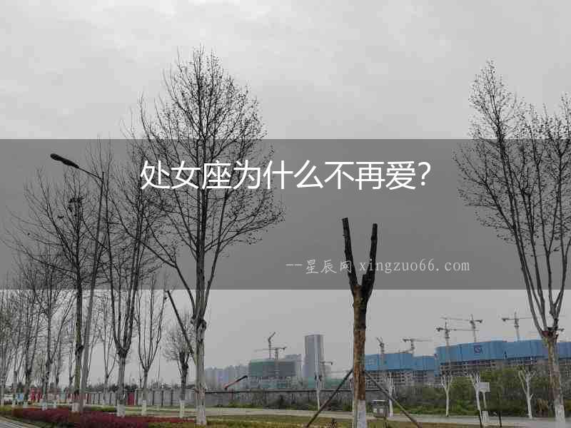 處女座為什么不再愛？