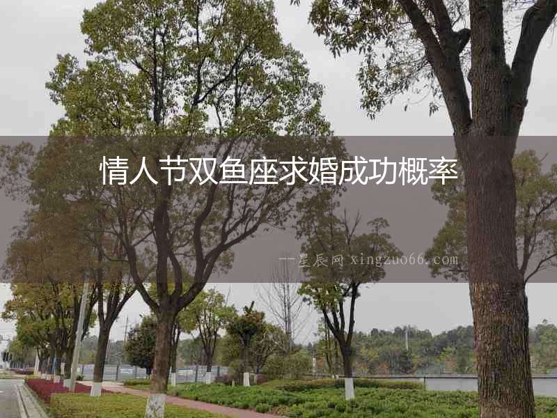 情人節(jié)雙魚座求婚成功概率