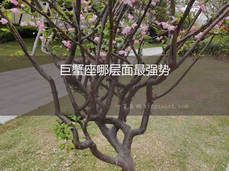 巨蟹座哪層面最強(qiáng)勢(shì)