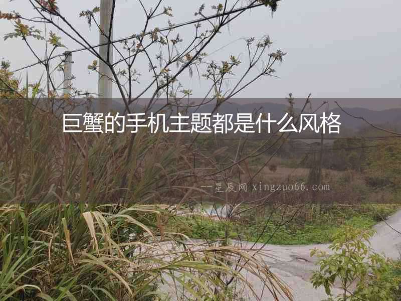 巨蟹的手機主題都是什么風格