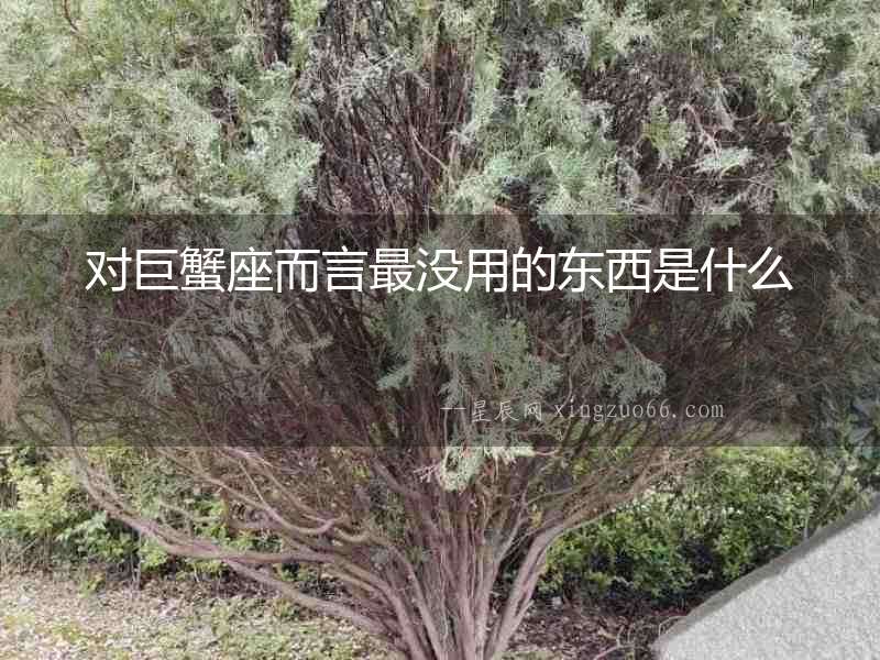 對巨蟹座而言最沒用的東西是什么