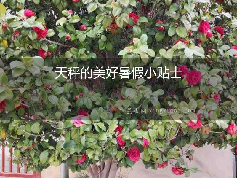 天秤的美好暑假小貼士