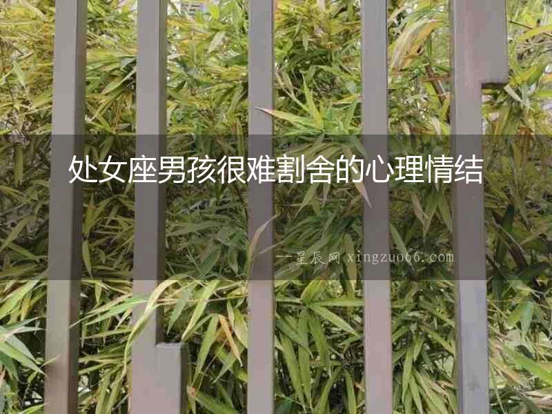 處女座男孩很難割舍的心理情結(jié)