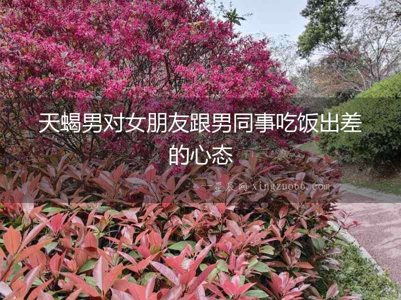 天蝎男對女朋友跟男同事吃飯出差的心態(tài)