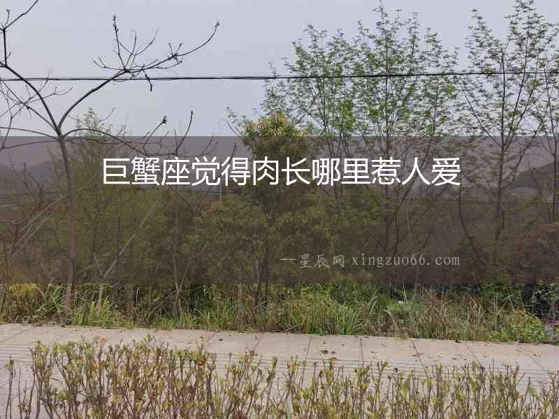 巨蟹座覺得肉長哪里惹人愛