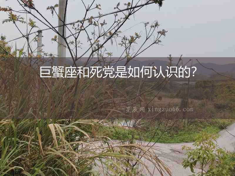巨蟹座和死黨是如何認識的？