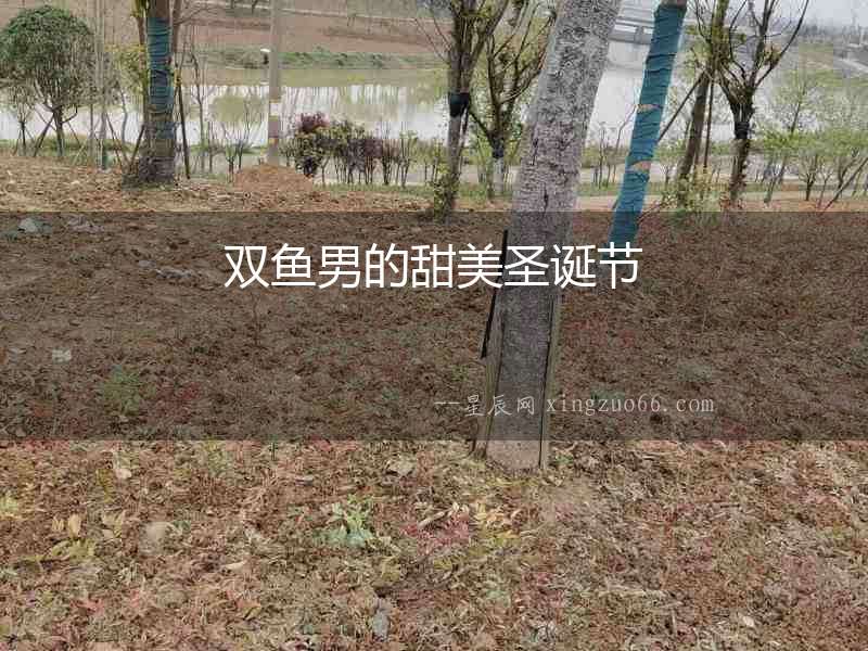 雙魚男的甜美圣誕節