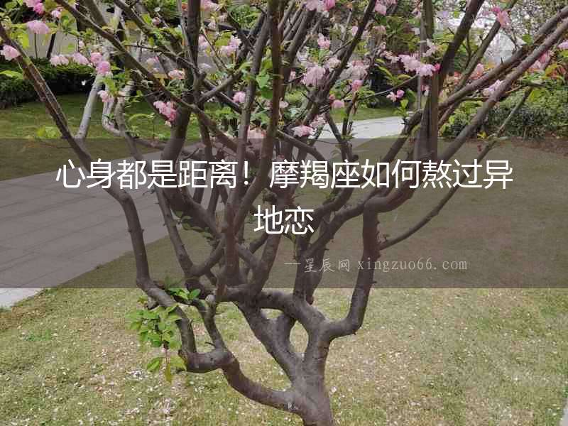 心身都是距離！摩羯座如何熬過異地戀