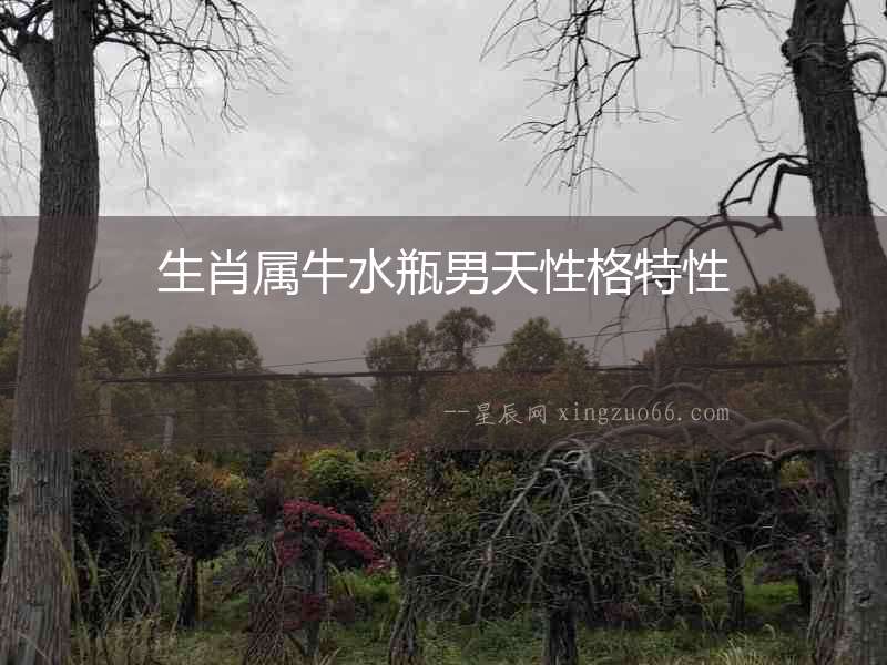 生肖屬牛水瓶男天性格特性