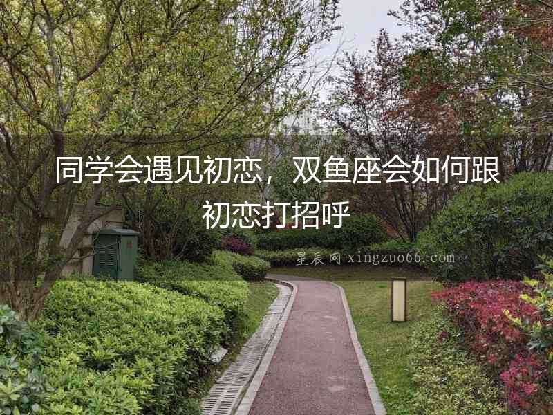 同學(xué)會(huì)遇見(jiàn)初戀，雙魚(yú)座會(huì)如何跟初戀打招呼