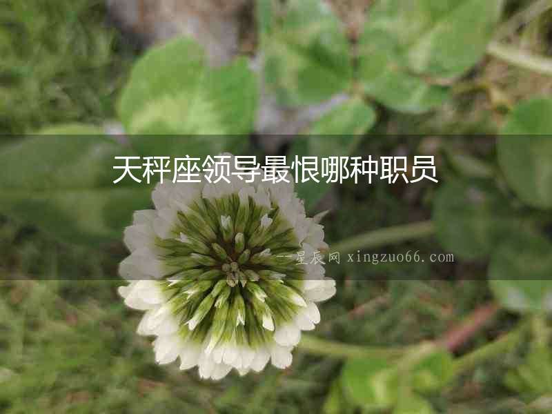 天秤座領導最恨哪種職員