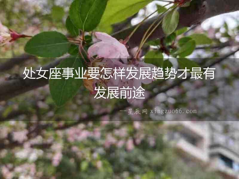 處女座事業要怎樣發展趨勢才最有發展前途