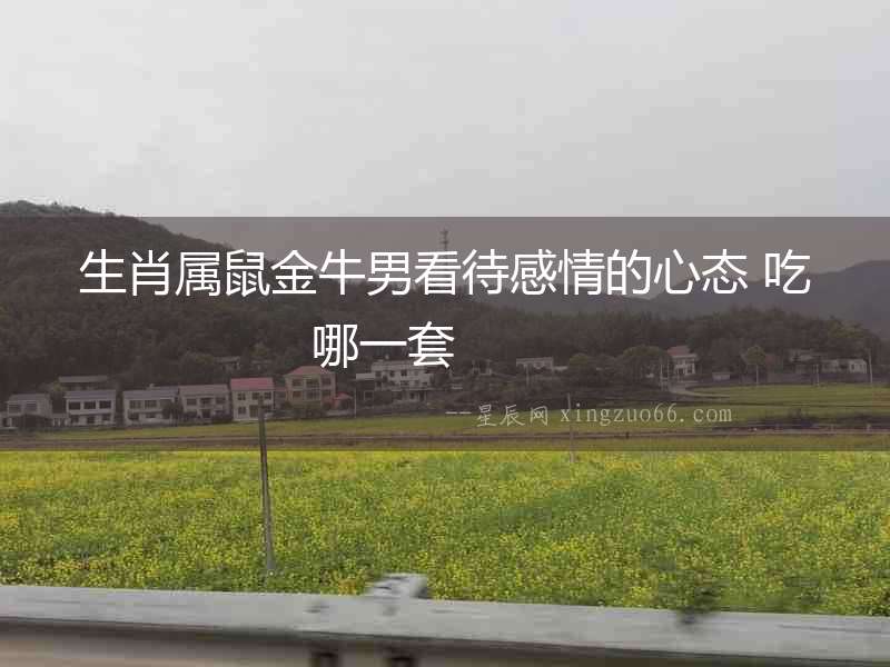 生肖屬鼠金牛男看待感情的心態(tài) 吃哪一套  　　　
