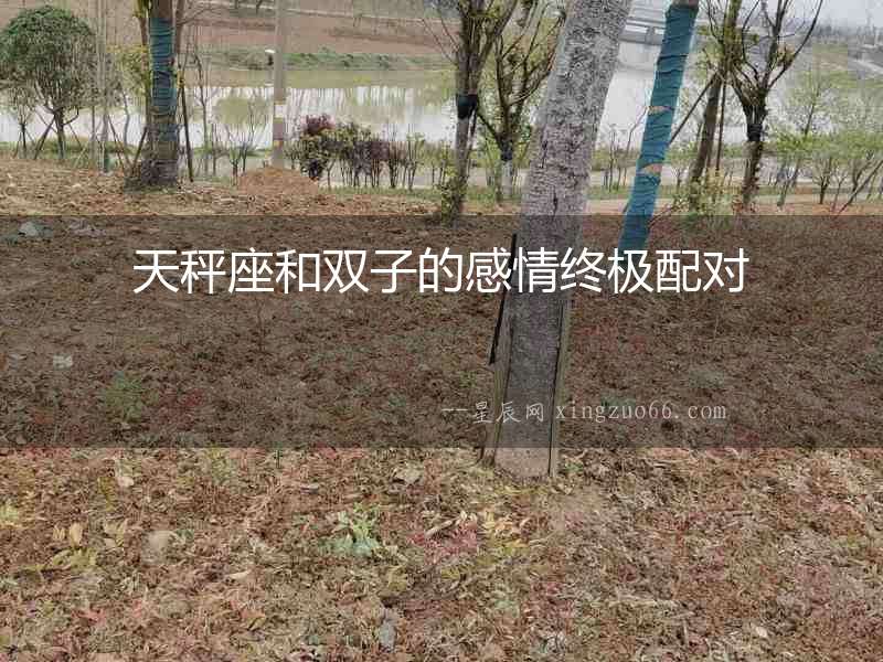 天秤座和雙子的感情終極配對(duì)